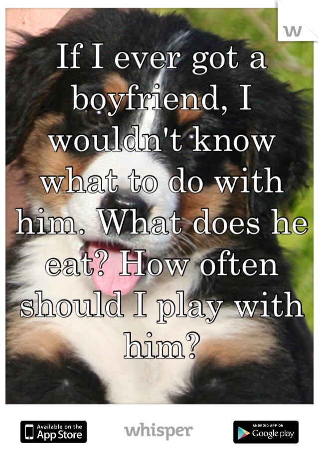 If I ever got a boyfriend, I wouldn't know what to do with him. What does he eat? How often should I play with him?