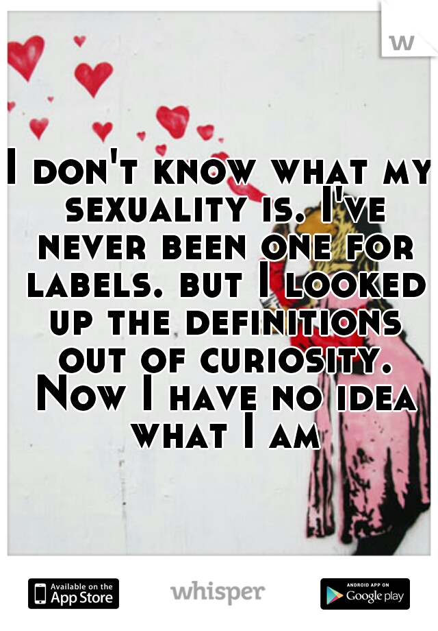 I don't know what my sexuality is. I've never been one for labels. but I looked up the definitions out of curiosity. Now I have no idea what I am