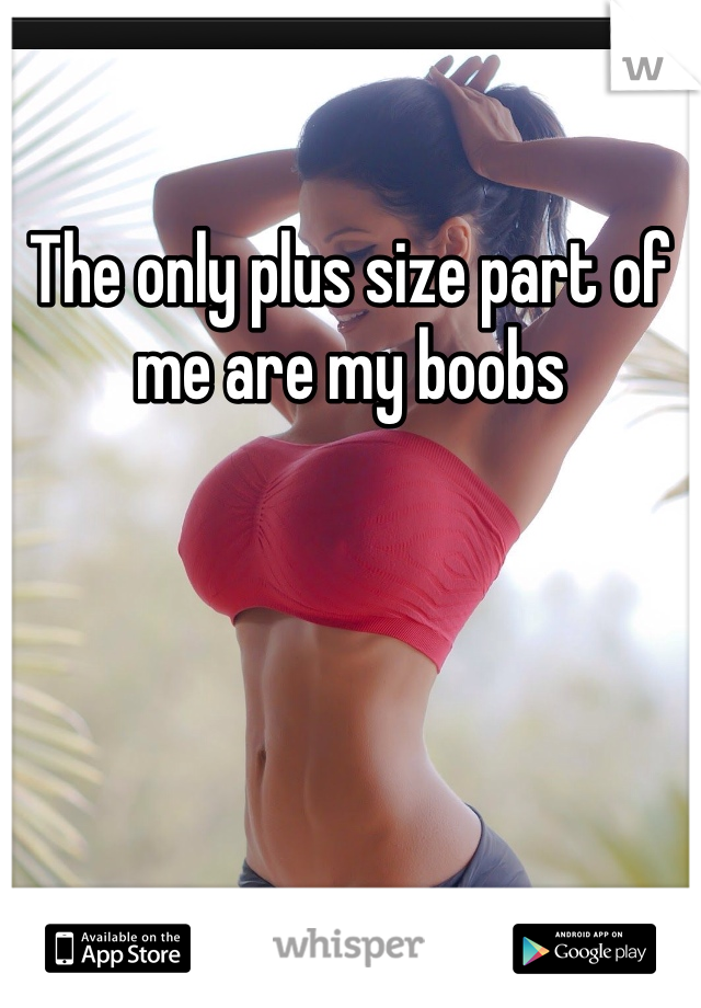 The only plus size part of me are my boobs