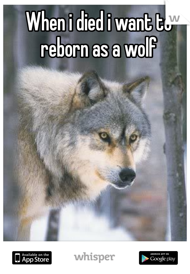 When i died i want to reborn as a wolf