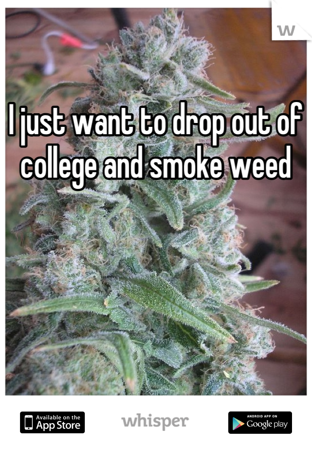 I just want to drop out of college and smoke weed