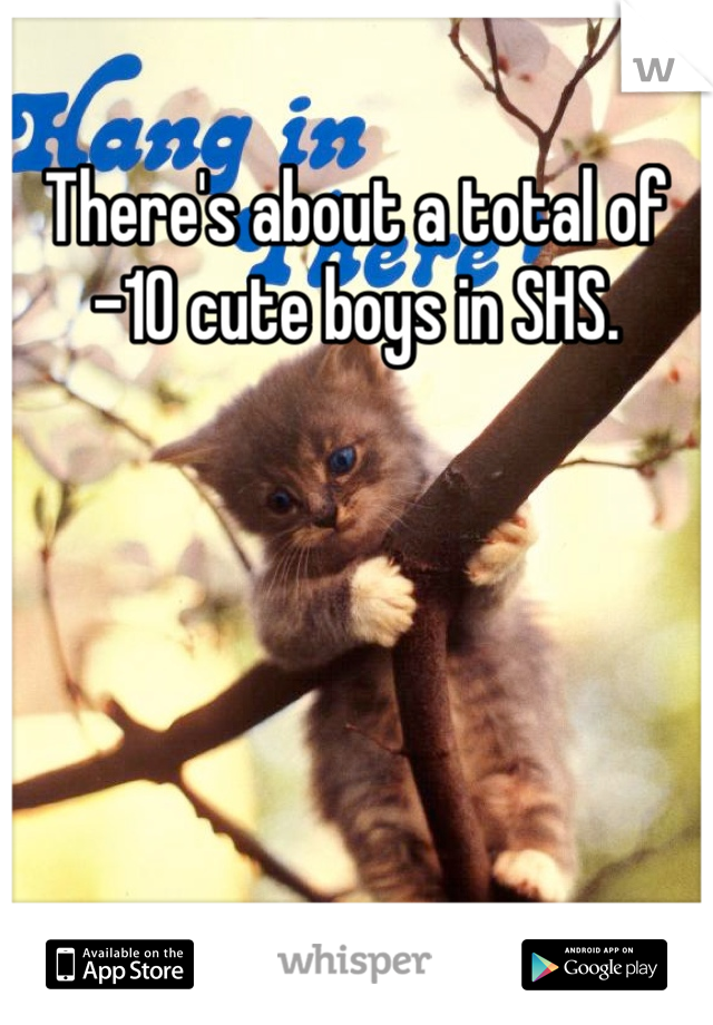 There's about a total of -10 cute boys in SHS. 