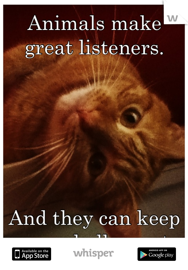 Animals make great listeners.






And they can keep any and all secrets.