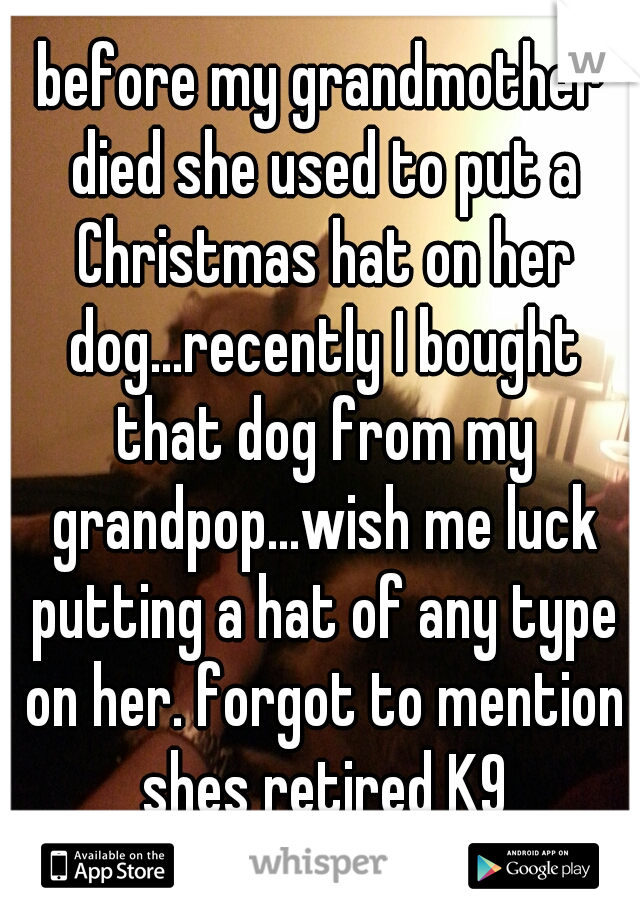 before my grandmother died she used to put a Christmas hat on her dog...recently I bought that dog from my grandpop...wish me luck putting a hat of any type on her. forgot to mention shes retired K9