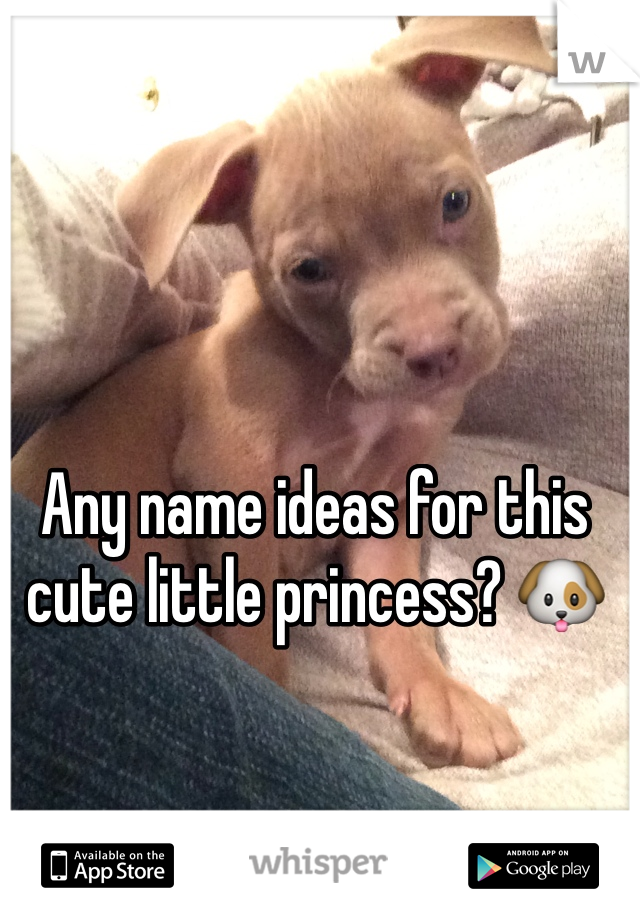 Any name ideas for this cute little princess? 🐶
