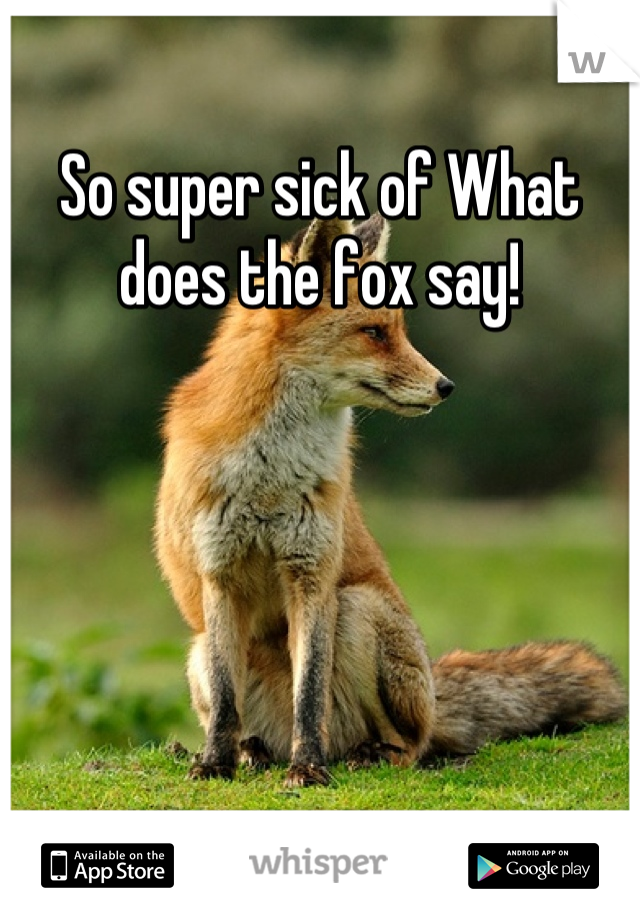 So super sick of What does the fox say!