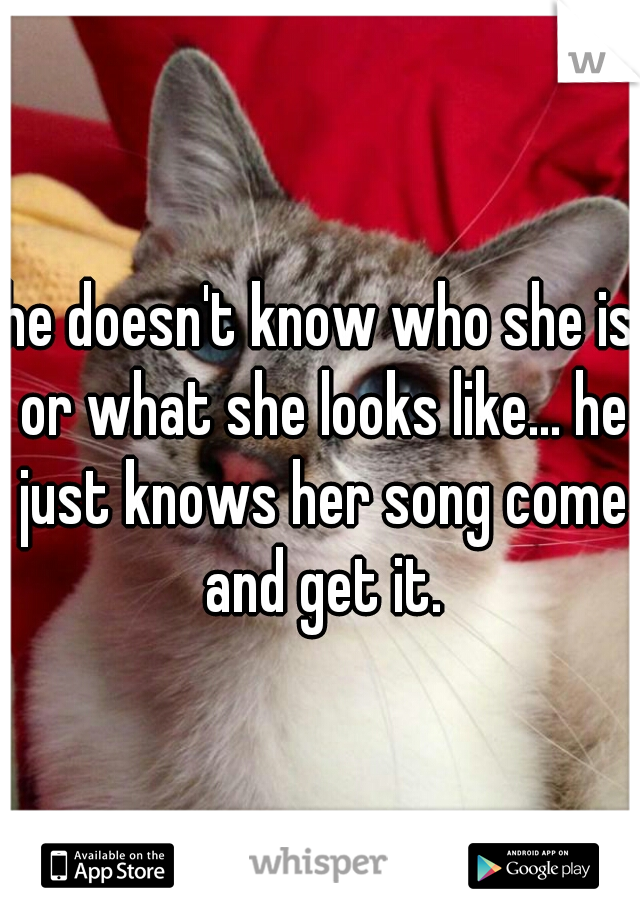 he doesn't know who she is or what she looks like... he just knows her song come and get it.