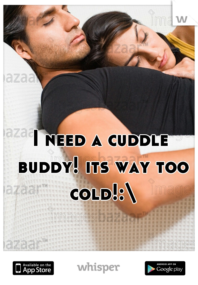I need a cuddle buddy! its way too cold!:\