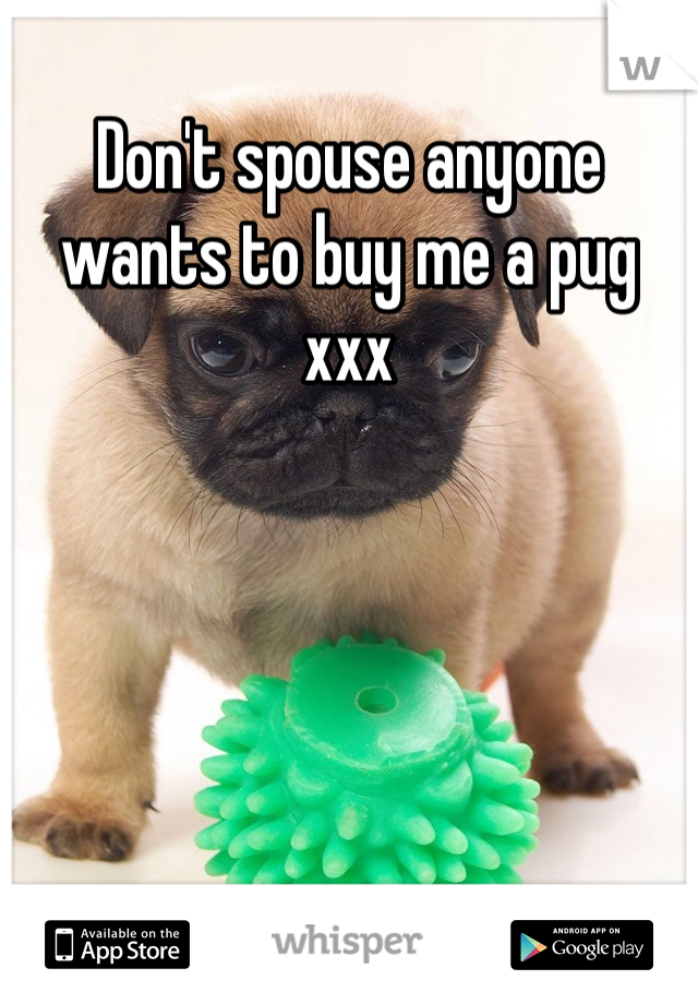Don't spouse anyone wants to buy me a pug xxx