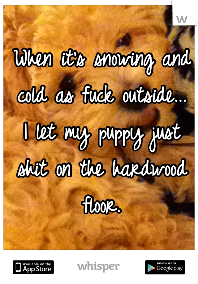 When it's snowing and cold as fuck outside... 
I let my puppy just shit on the hardwood floor.
