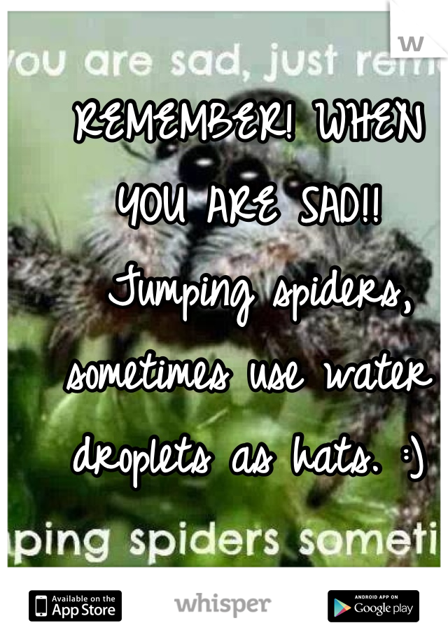 REMEMBER! WHEN YOU ARE SAD!!
 Jumping spiders, sometimes use water droplets as hats. :)