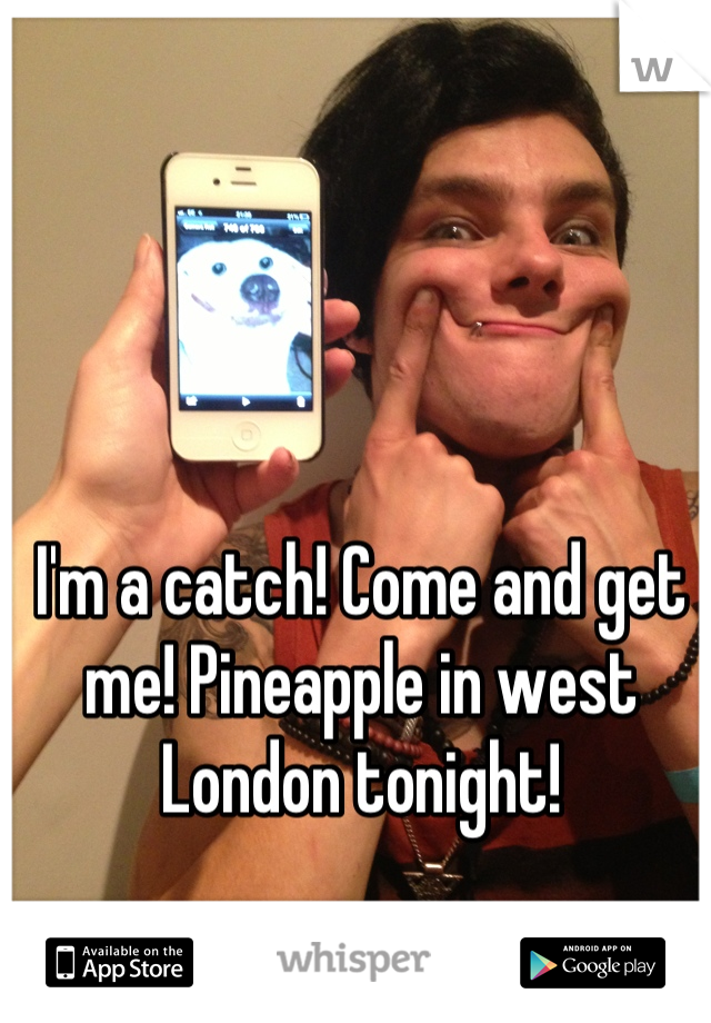 I'm a catch! Come and get me! Pineapple in west London tonight!