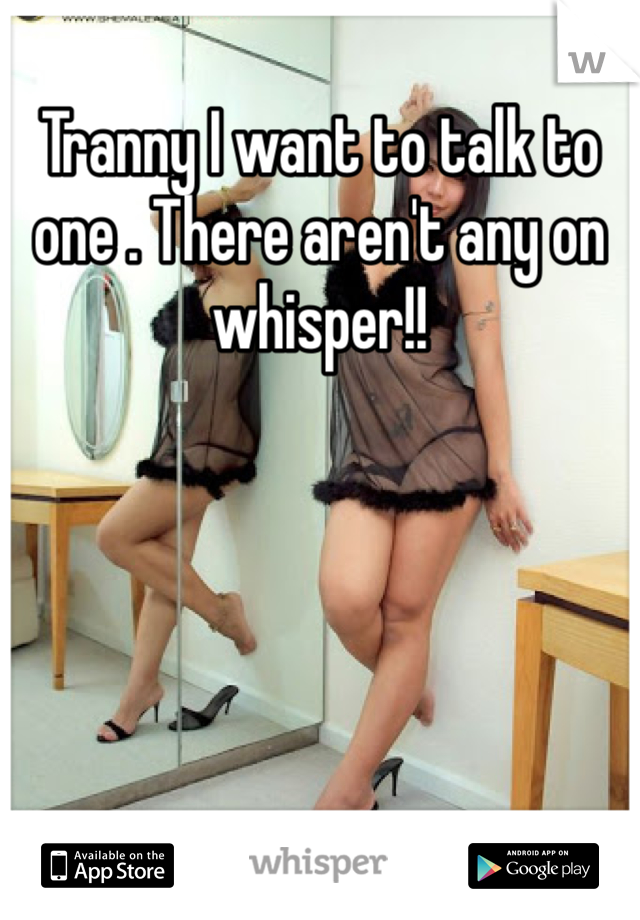 Tranny I want to talk to one . There aren't any on whisper!! 
