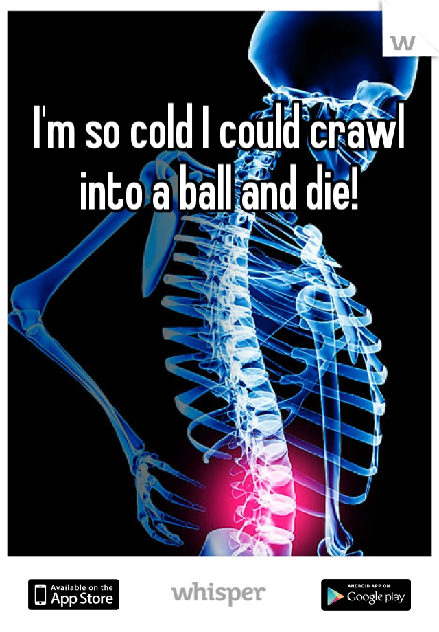 I'm so cold I could crawl into a ball and die!