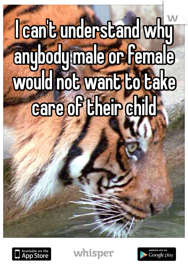 I can't understand why anybody male or female would not want to take care of their child