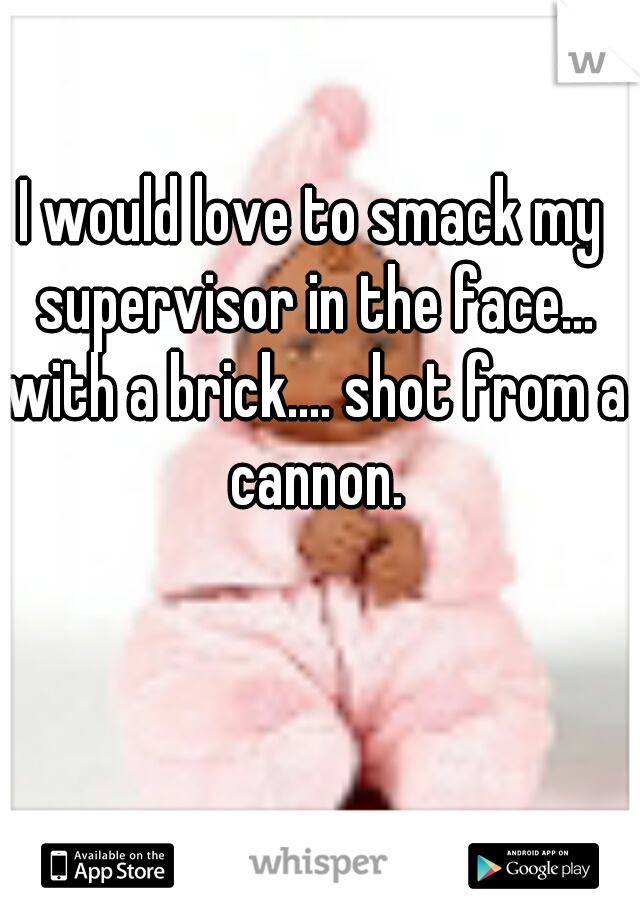 I would love to smack my supervisor in the face... with a brick.... shot from a cannon.