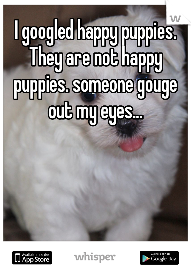 I googled happy puppies. They are not happy puppies. someone gouge out my eyes...