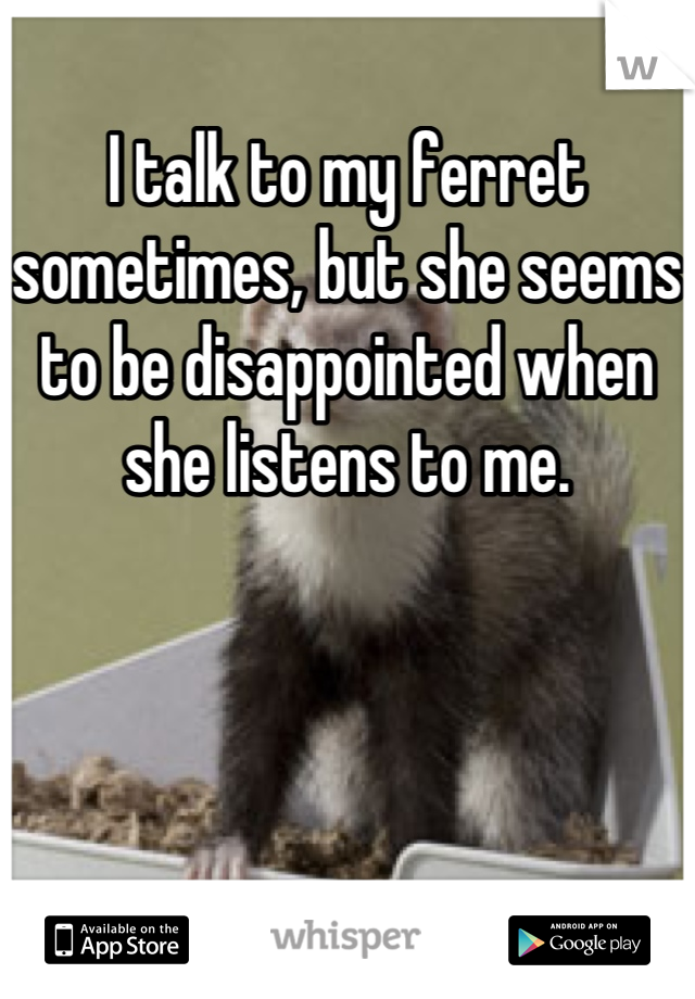 I talk to my ferret sometimes, but she seems to be disappointed when she listens to me.