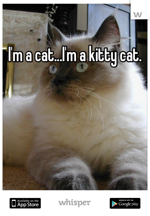 I'm a cat...I'm a kitty cat.