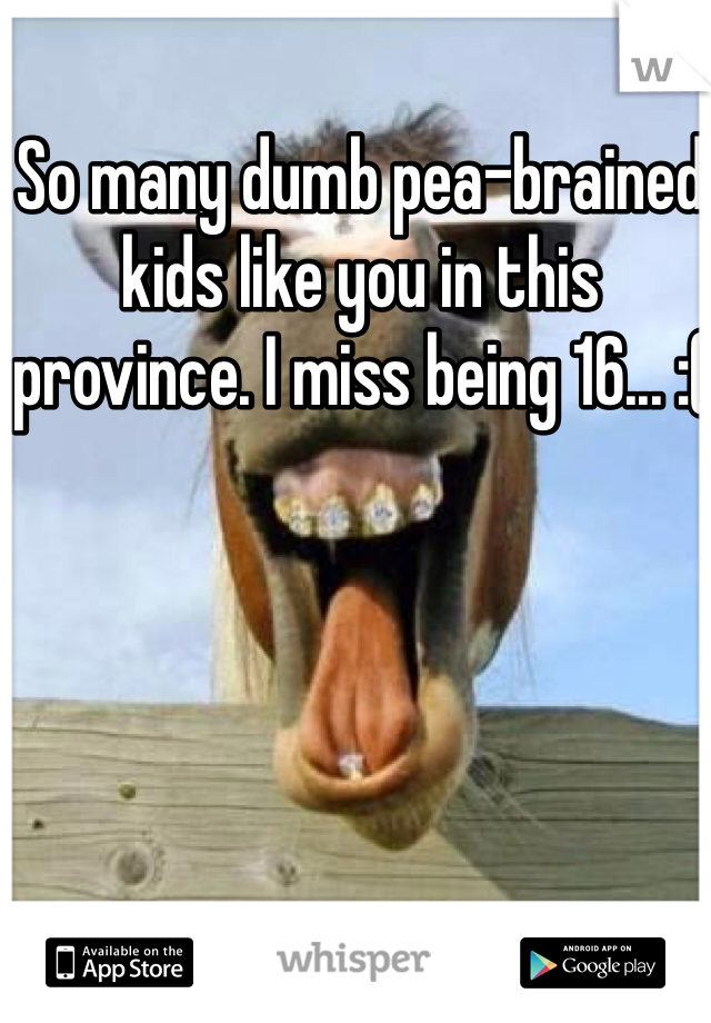 So many dumb pea-brained kids like you in this province. I miss being 16... :(