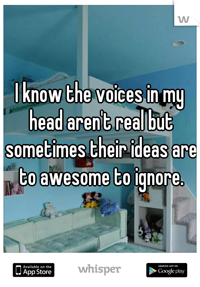 I know the voices in my head aren't real but sometimes their ideas are to awesome to ignore.