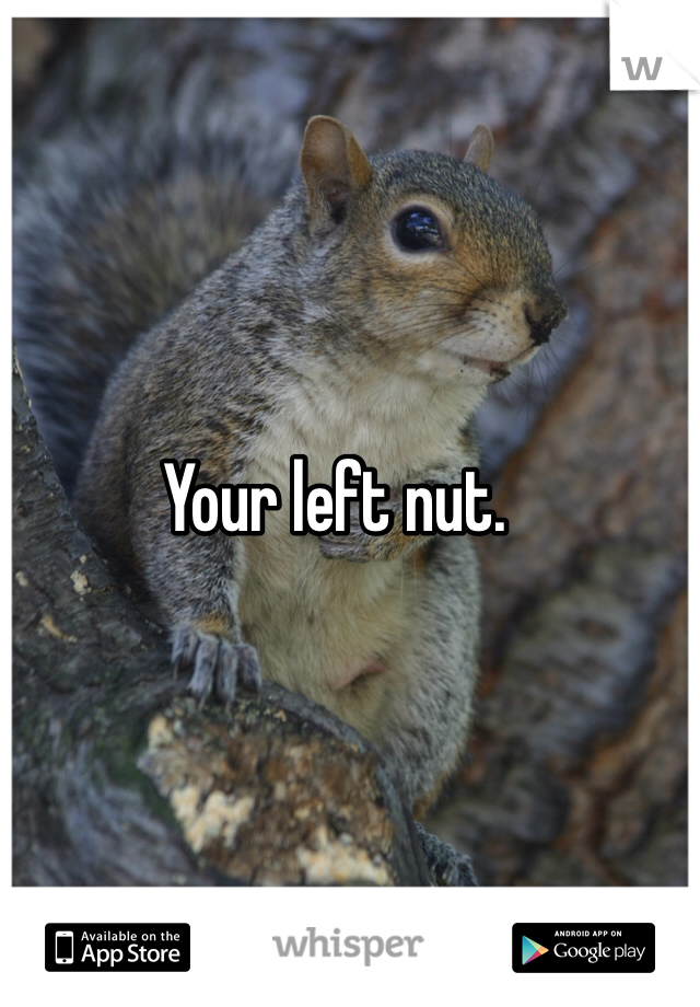 Your left nut.