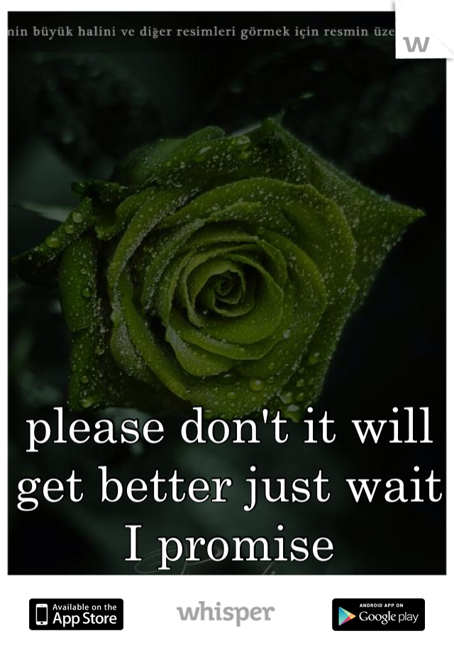 please don't it will get better just wait I promise 