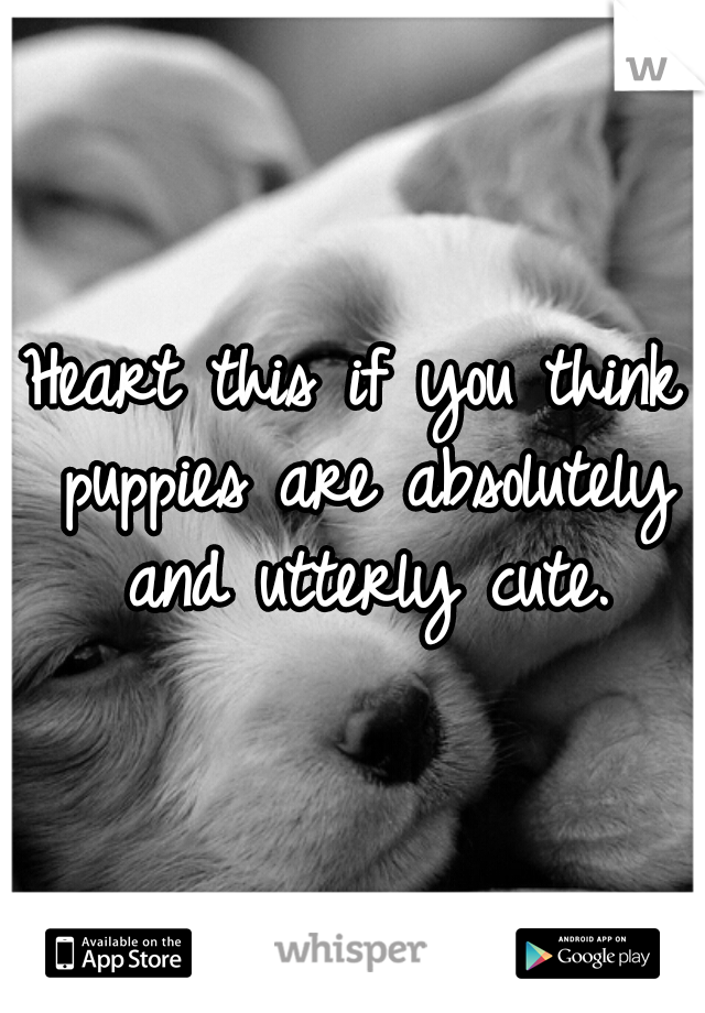 Heart this if you think puppies are absolutely and utterly cute.