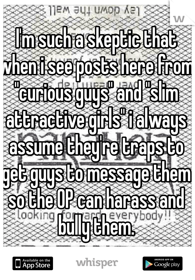 I'm such a skeptic that when i see posts here from "curious guys" and "slim attractive girls" i always assume they're traps to get guys to message them so the OP can harass and bully them. 
