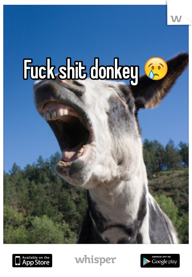 Fuck shit donkey 😢