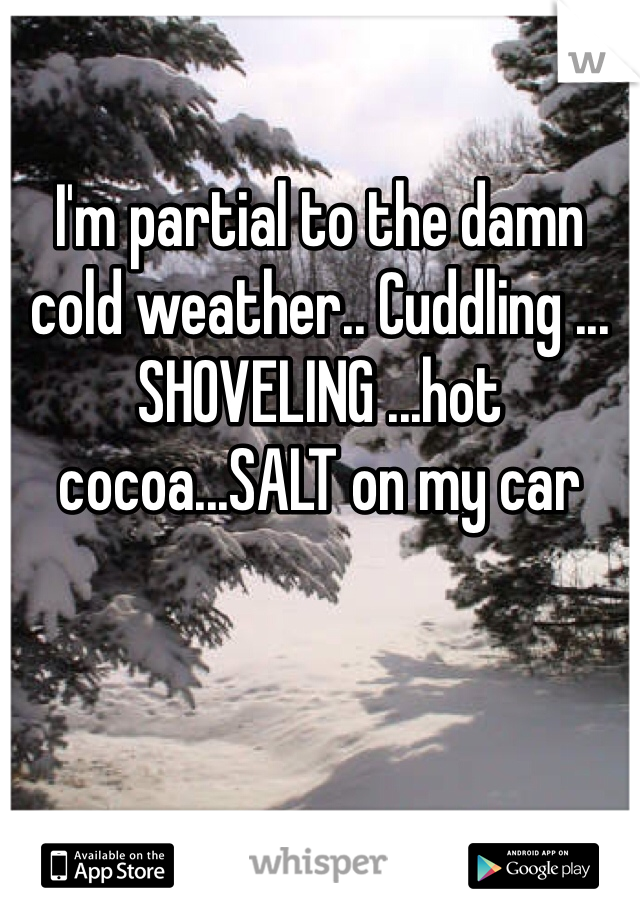 

I'm partial to the damn cold weather.. Cuddling ... SHOVELING ...hot cocoa...SALT on my car 