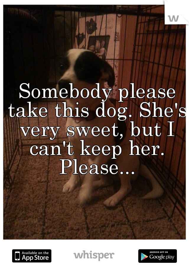  Somebody please take this dog. She's very sweet, but I can't keep her. Please...