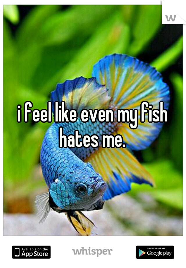 i feel like even my fish hates me. 