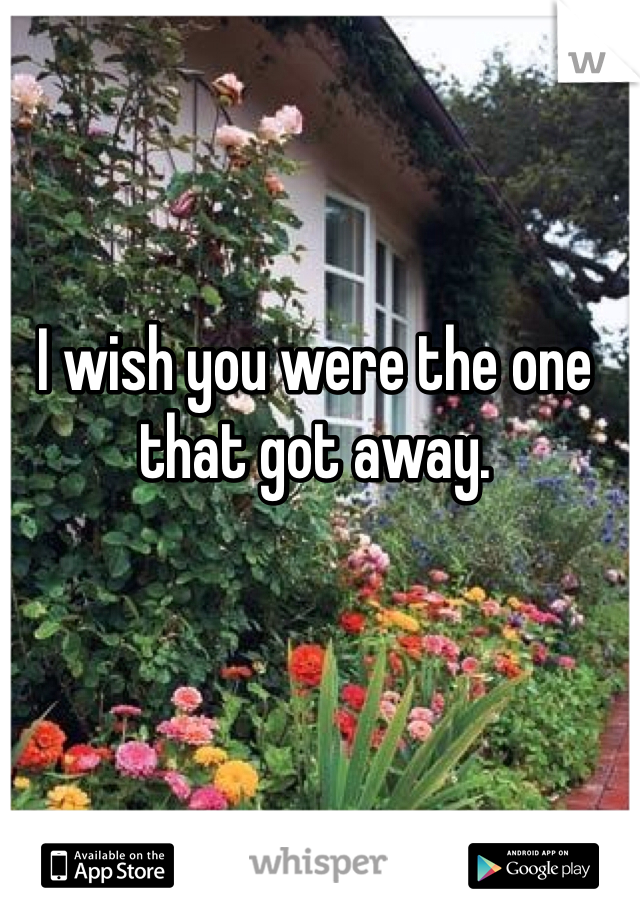 I wish you were the one that got away. 