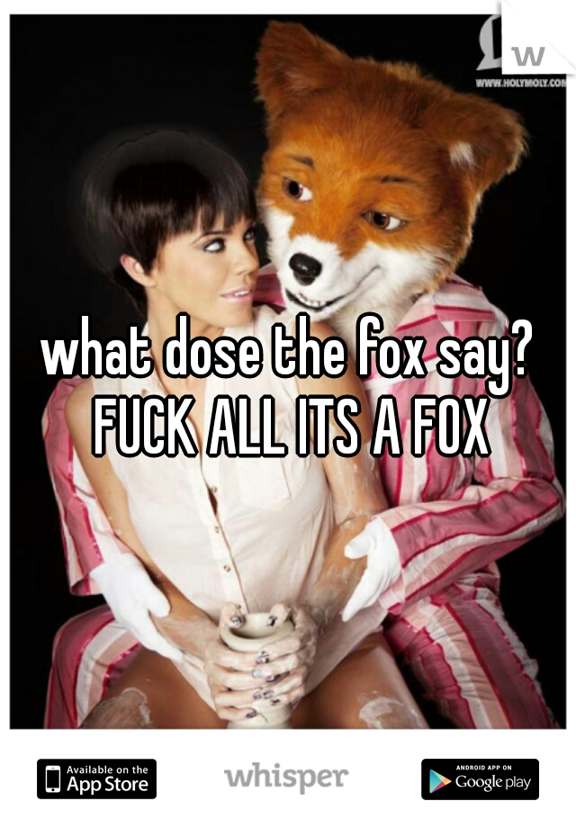 what dose the fox say? FUCK ALL ITS A FOX