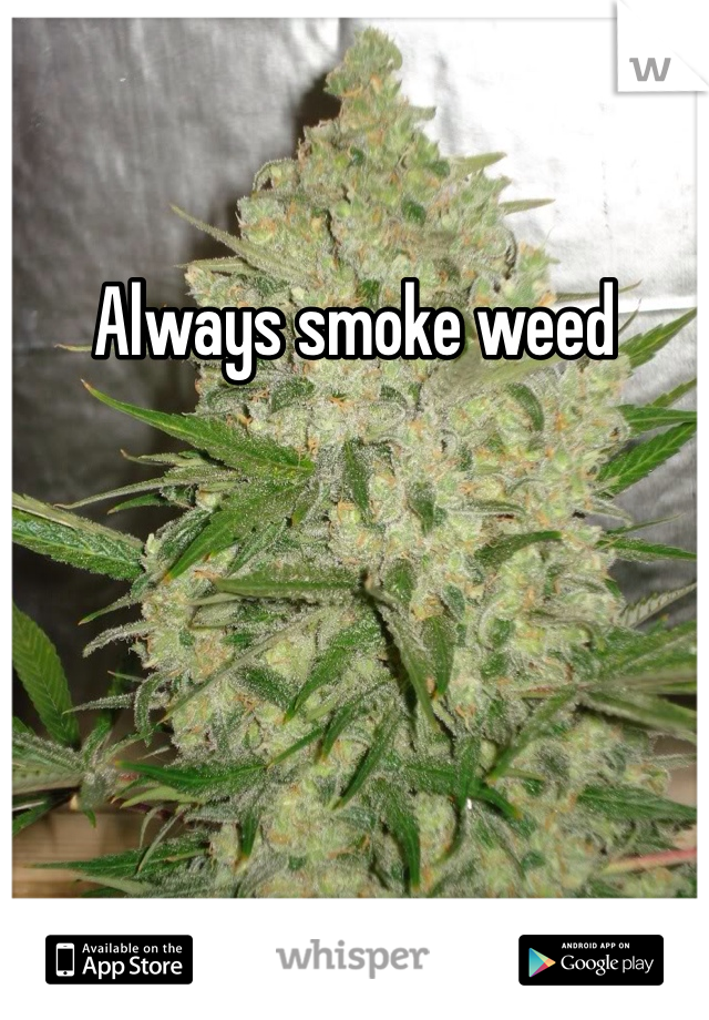 Always smoke weed 