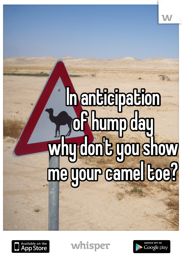 In anticipation
of hump day
why don't you show
me your camel toe?