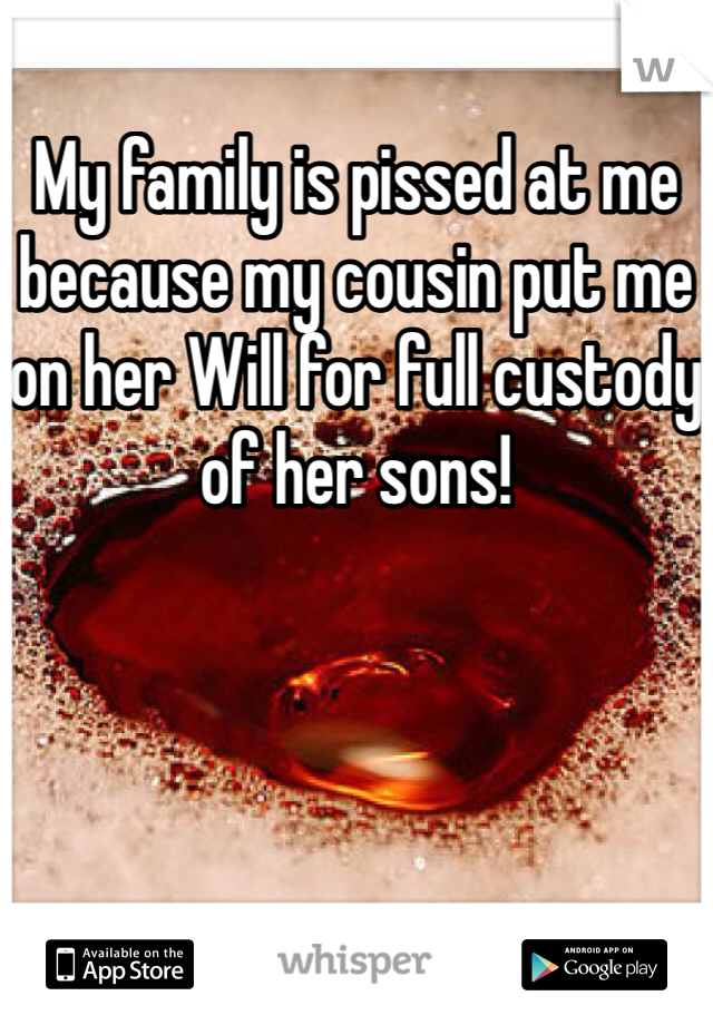 My family is pissed at me because my cousin put me on her Will for full custody of her sons! 