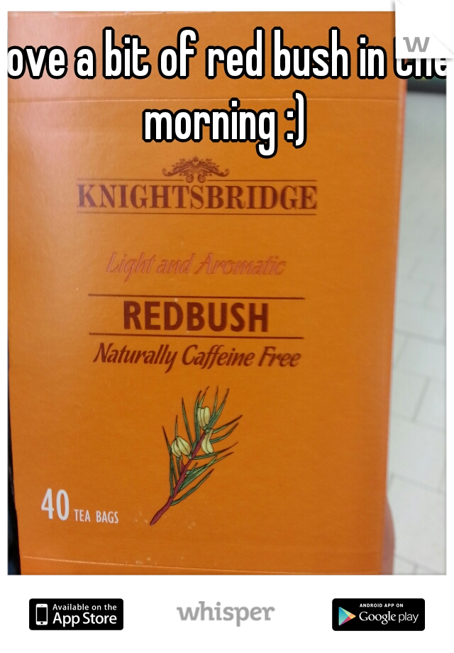 love a bit of red bush in the morning :) 