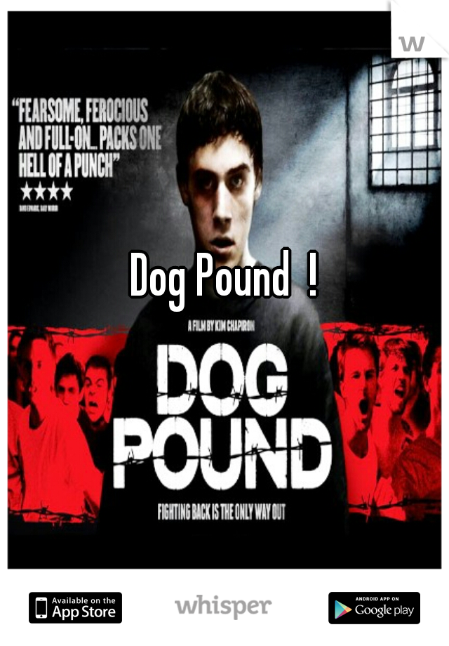 Dog Pound  ! 