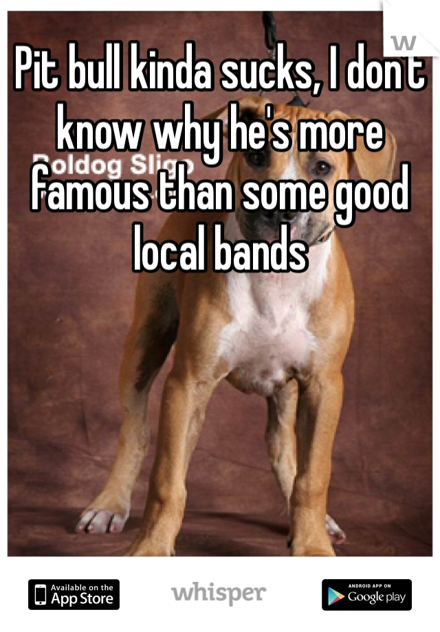 Pit bull kinda sucks, I don't know why he's more famous than some good local bands