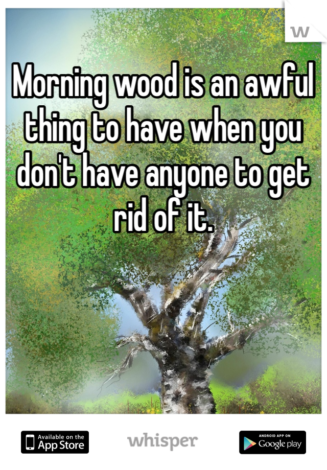 Morning wood is an awful thing to have when you don't have anyone to get rid of it. 