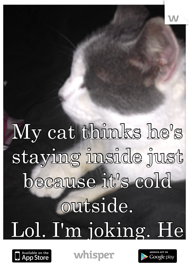 My cat thinks he's staying inside just because it's cold outside. 
Lol. I'm joking. He is staying inside 