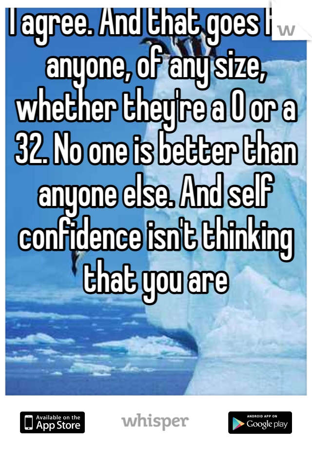 I agree. And that goes for anyone, of any size, whether they're a 0 or a 32. No one is better than anyone else. And self confidence isn't thinking that you are 