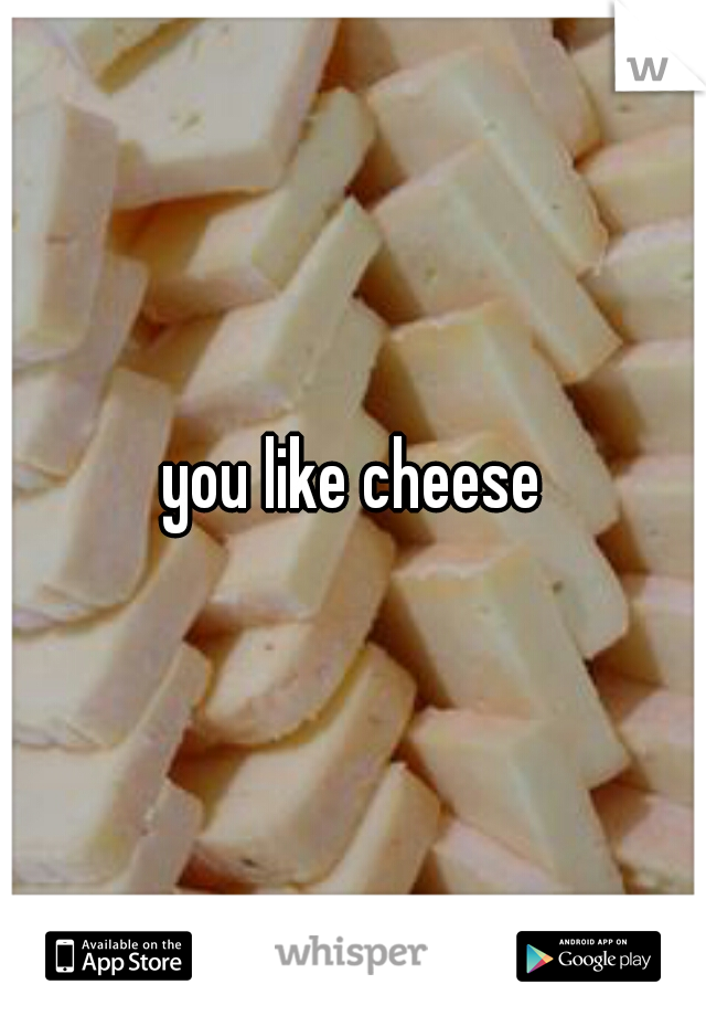 you like cheese