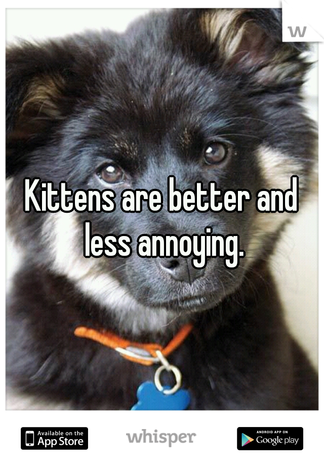 Kittens are better and less annoying.