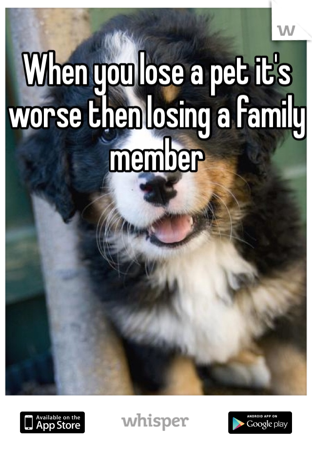 When you lose a pet it's worse then losing a family member