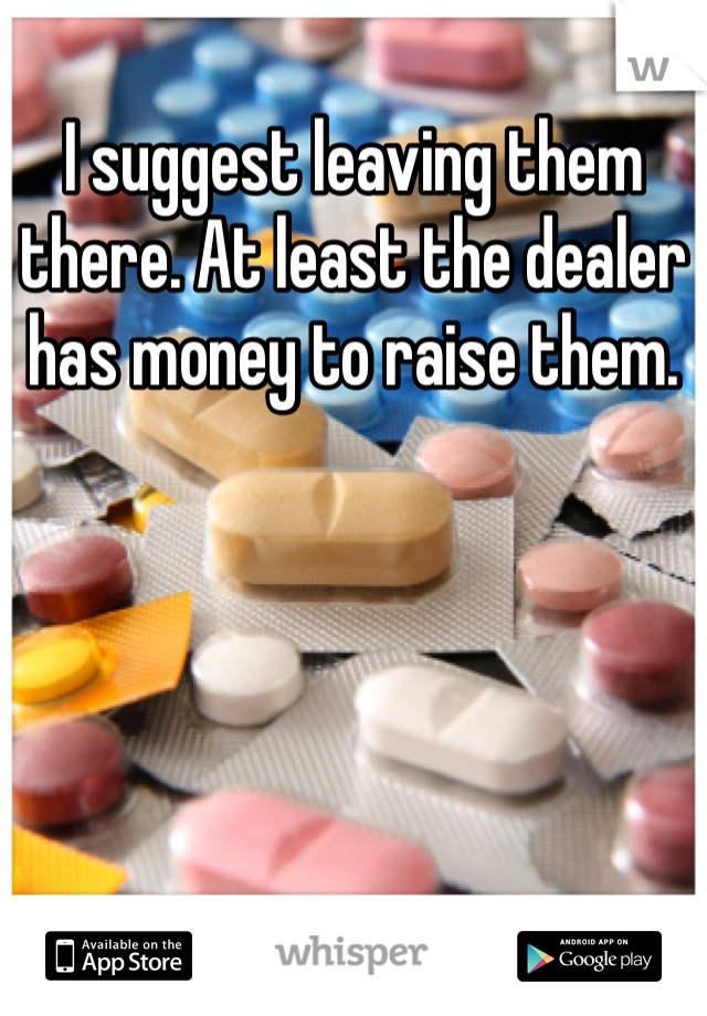 I suggest leaving them there. At least the dealer has money to raise them.