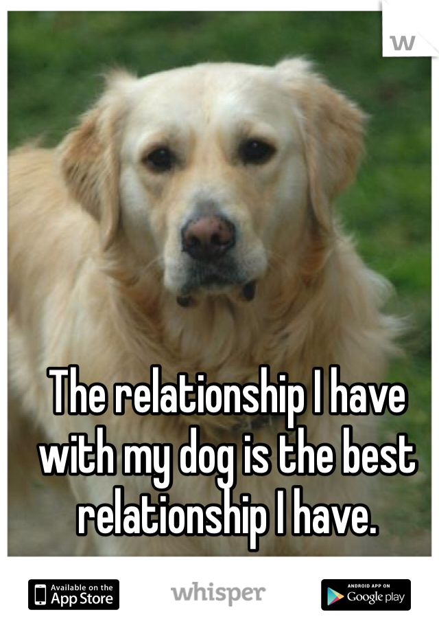 The relationship I have with my dog is the best relationship I have. 