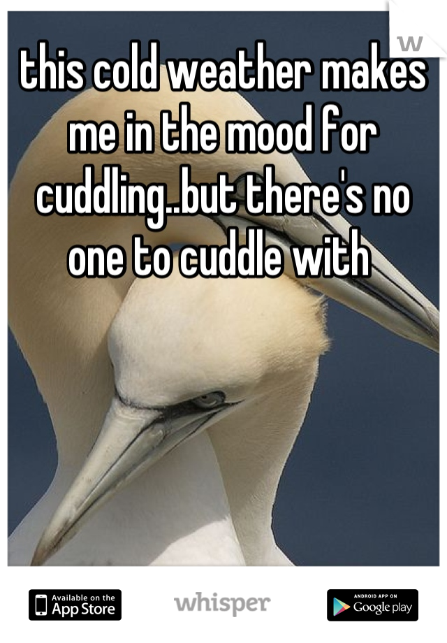 this cold weather makes me in the mood for cuddling..but there's no one to cuddle with 